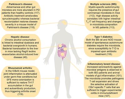 Commensal Bacteria-Specific CD4+ T Cell Responses in Health and Disease